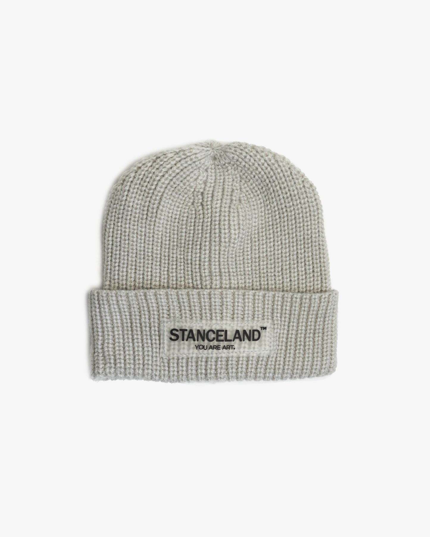 WORLDWIDE BEANIE GRAY