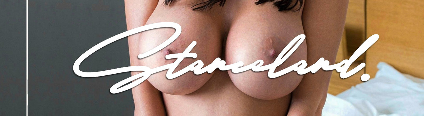 Stanceland Stickers Large