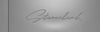Stanceland Stickers Large