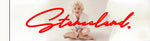 Stanceland Stickers Large